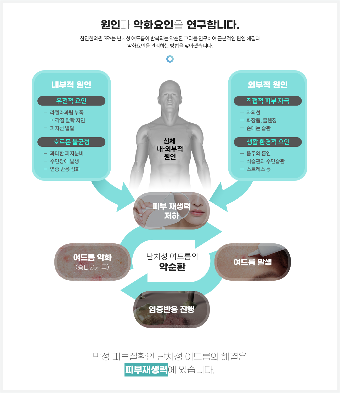 컨텐츠 이미지