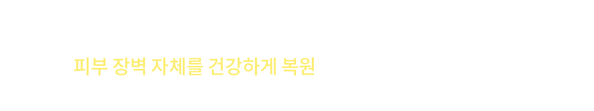 컨텐츠 이미지