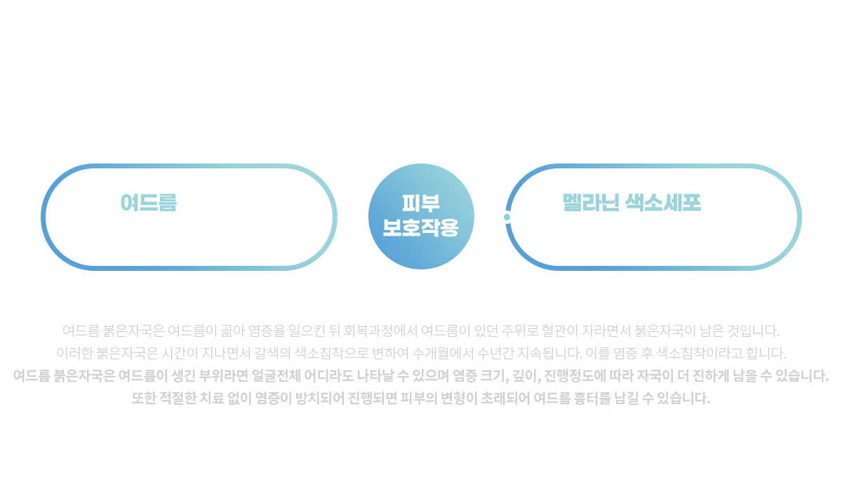 컨텐츠 이미지