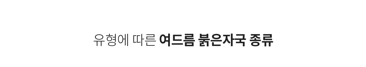 컨텐츠 이미지