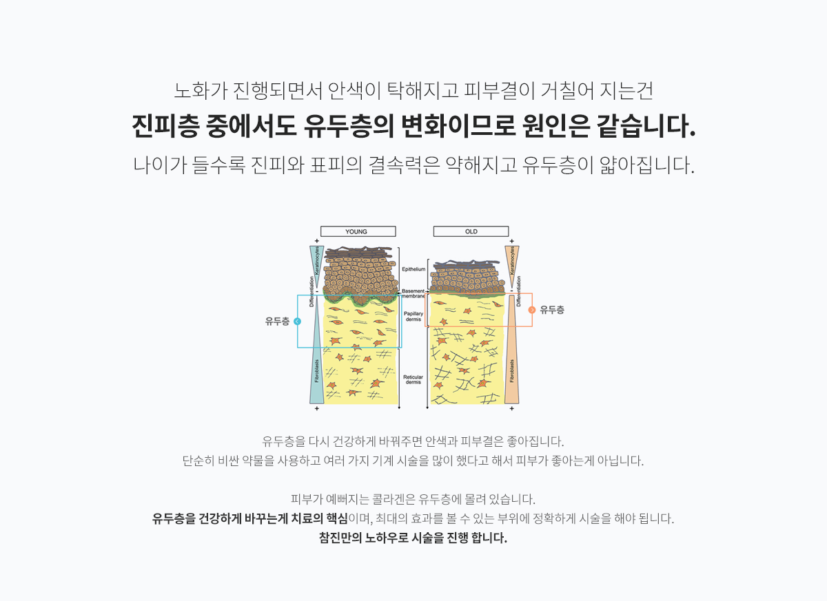 컨텐츠 이미지