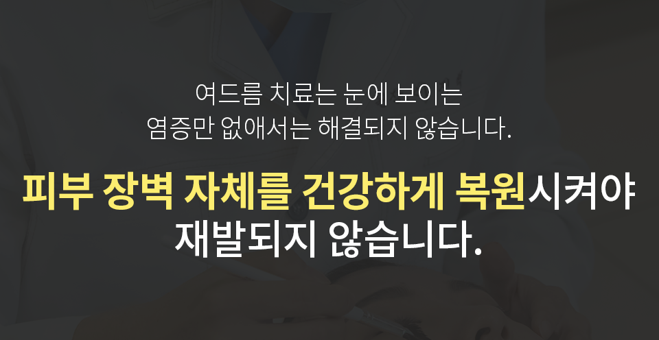 컨텐츠 이미지