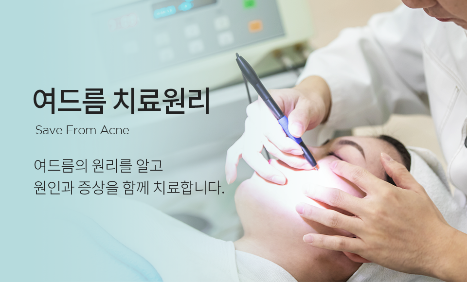 컨텐츠 이미지