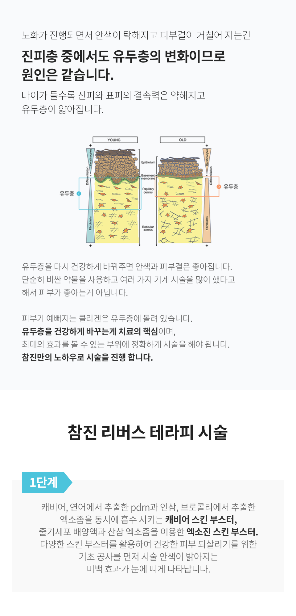 컨텐츠 이미지